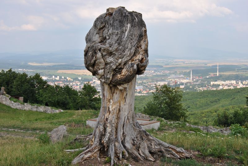 pepajs.cz
